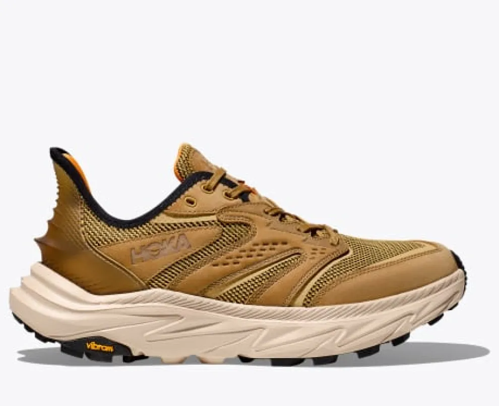 Anacapa 2 Freedom Shoes for Men